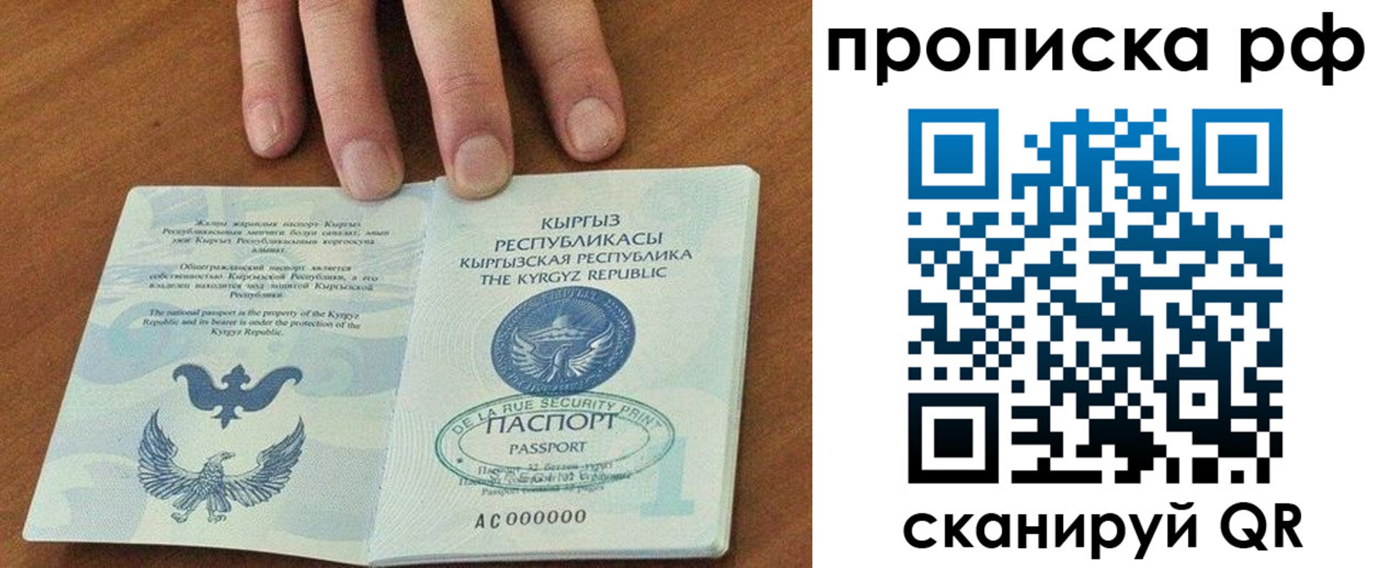 временная регистрация недорого в Камышлове